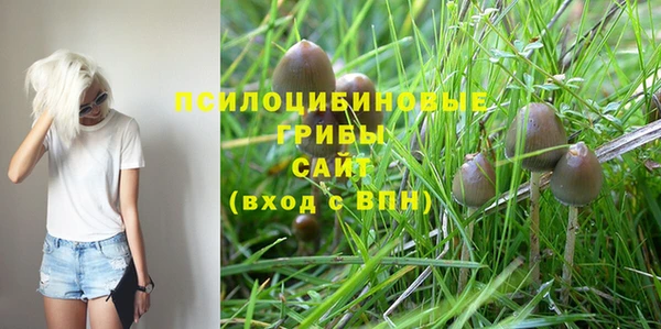 амф Абинск