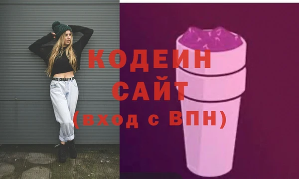 индика Гусь-Хрустальный