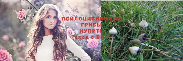 амф Абинск