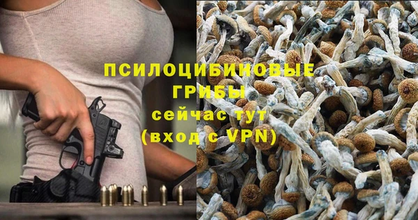 амф Абинск