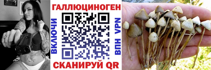 где купить наркоту  Александровск-Сахалинский  Галлюциногенные грибы мухоморы 